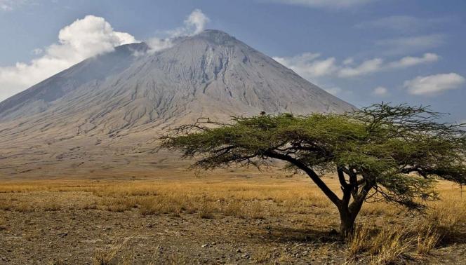 Tanzania - Ol Doinyo Lengai e le distese del Serengeti 1