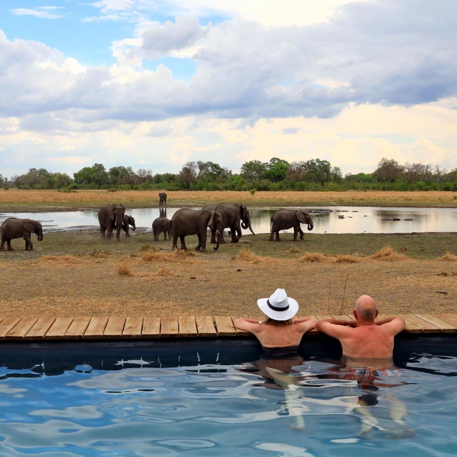 Botswana – Sable Alley Camp