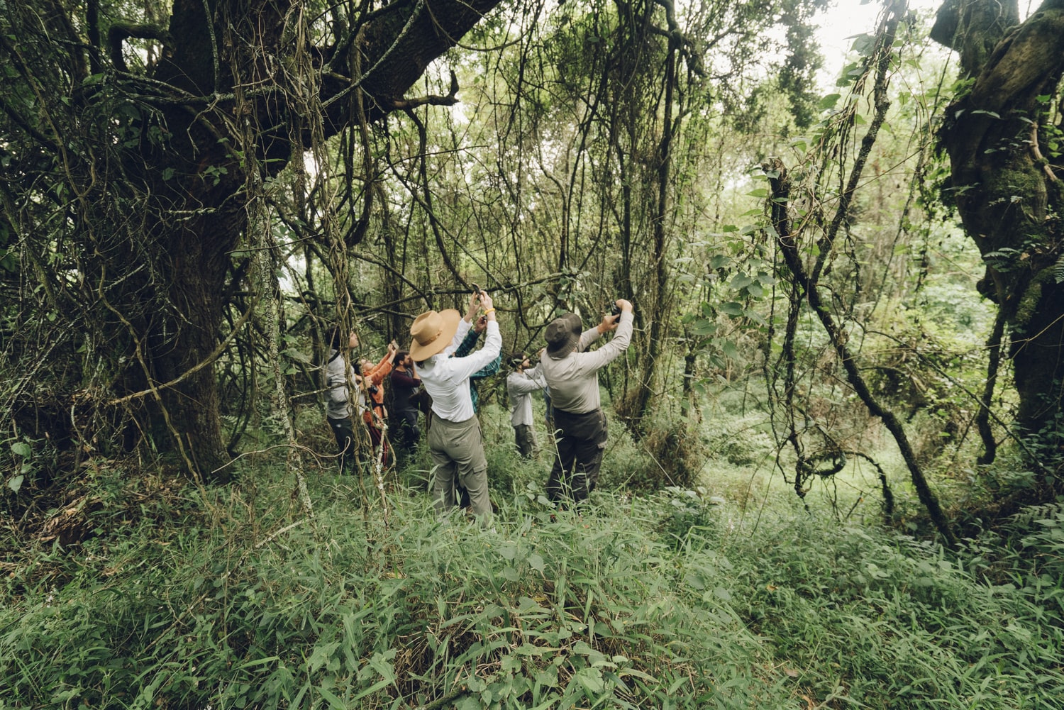 Bwindi Impenetrable National Park