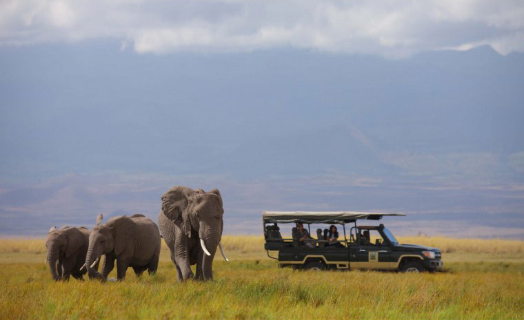 Una giornata in safari