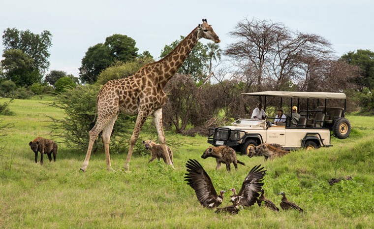 Safari con i bambini