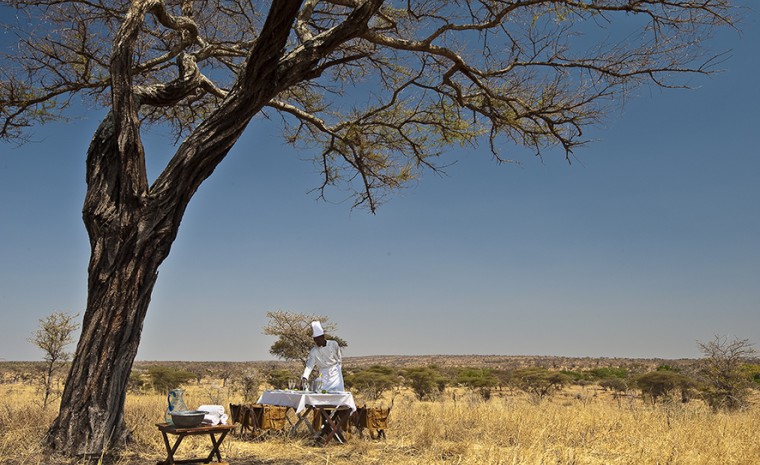 Una giornata in safari