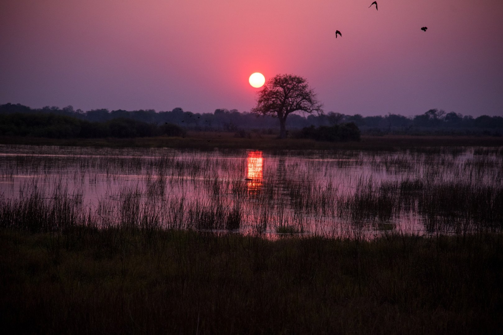 Kasane e Chobe National Park, Botswana