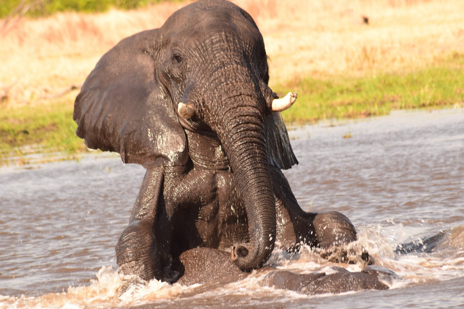 Caprivi Strip