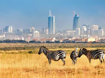 Nairobi National Park