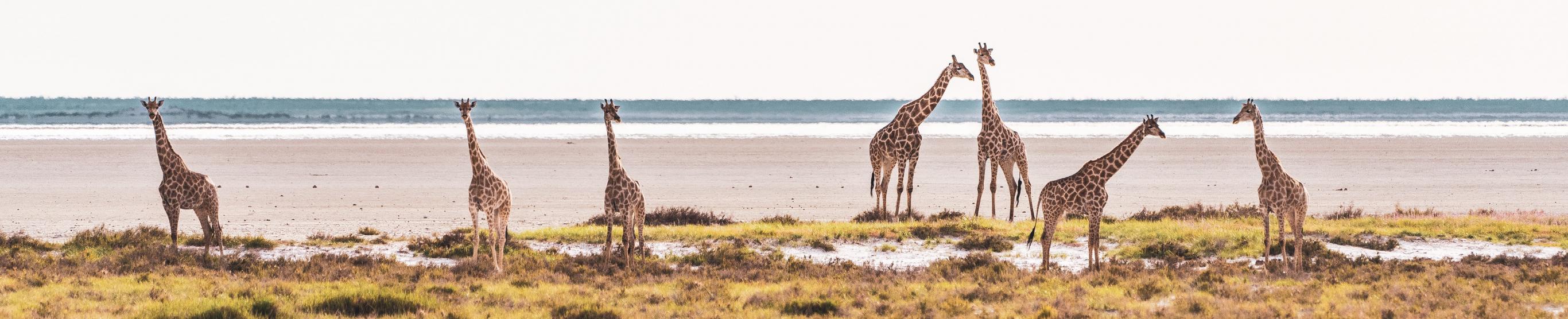 Namibia