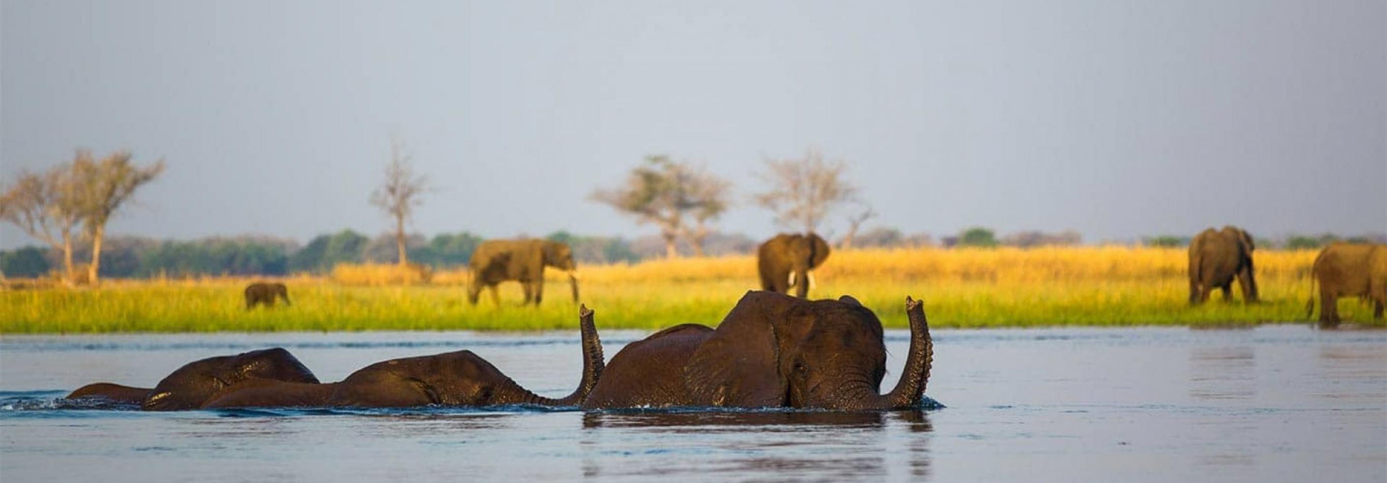 Best of Zambia