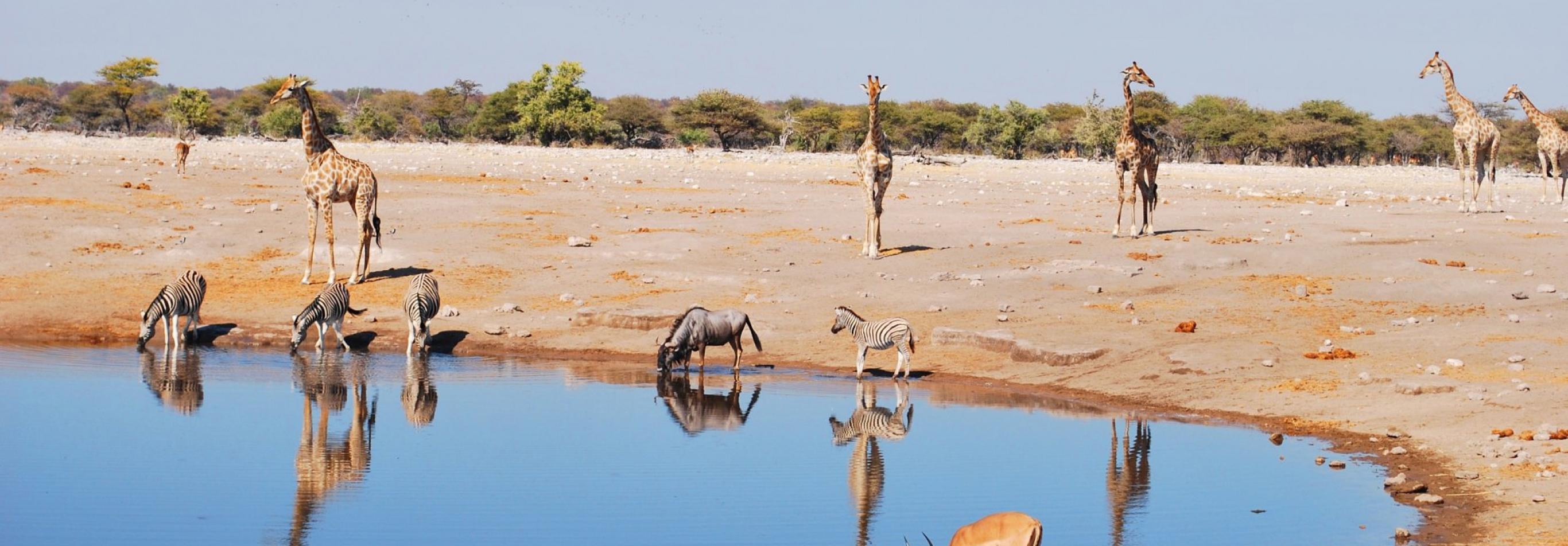 Namibia camping self drive 1