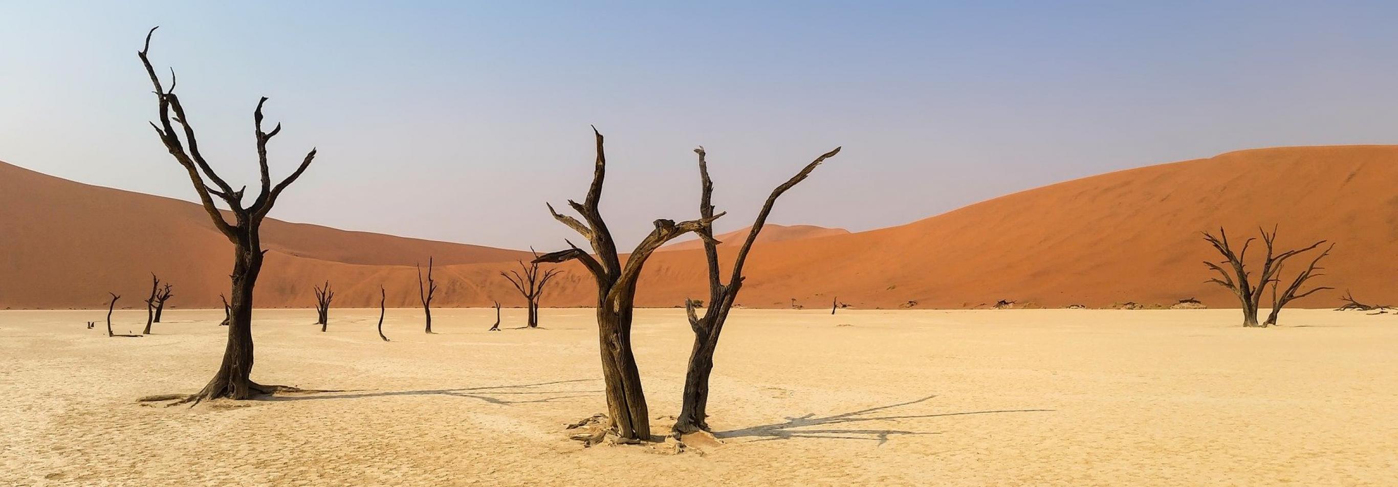 Namibia Discovery