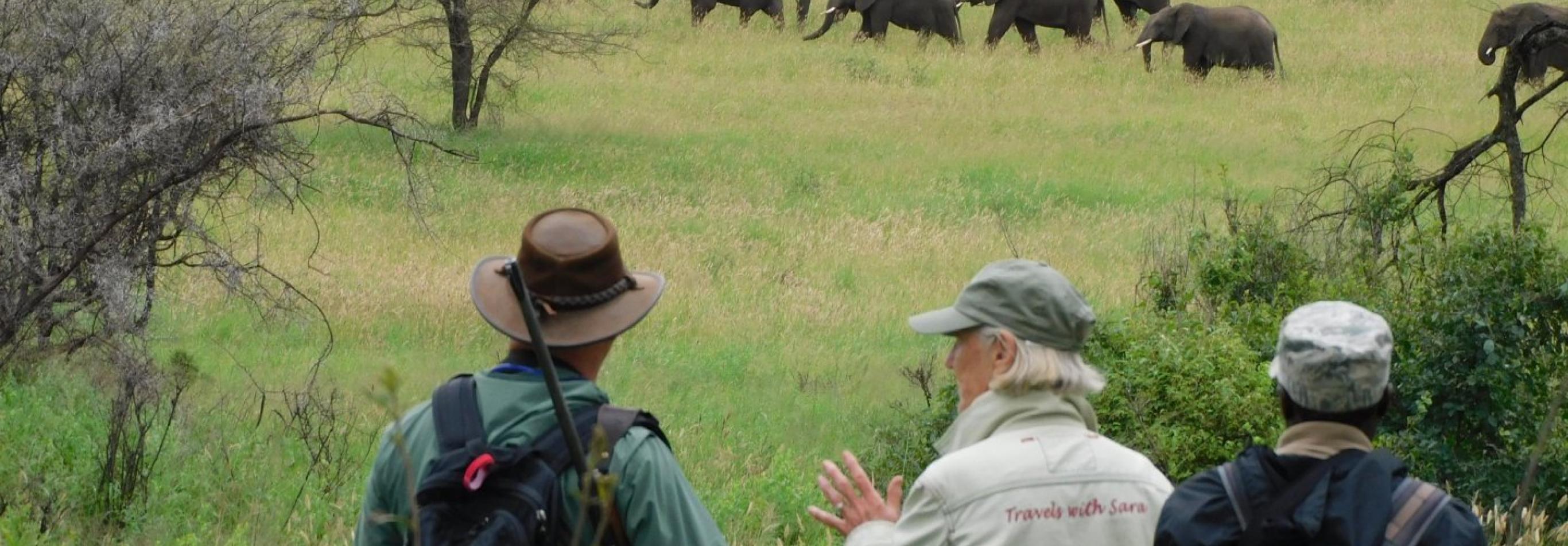 Tanzania - Safari a piedi nel Serengeti 1