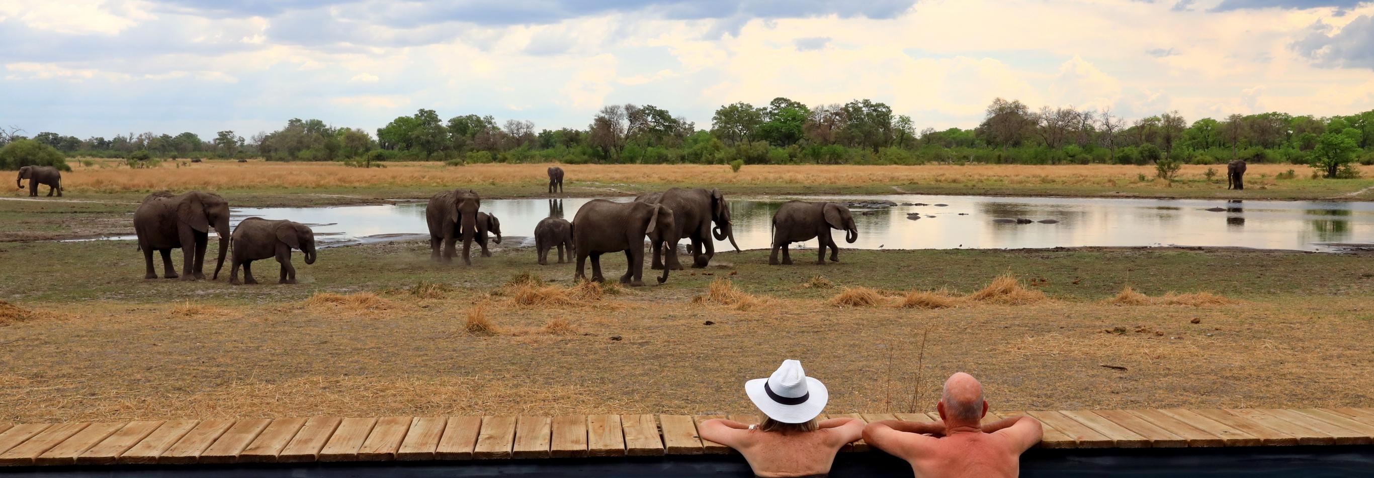 Botswana – Sable Alley Camp