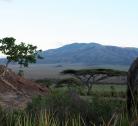 Arusha - Serengeti