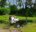 Giorno 7-8 (2 notti): Savute - Moremi Game Reserve