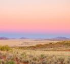 Hainaveld - San Bushman Experience, camping