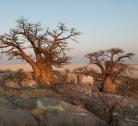 Nxai Pan National Park, Camping