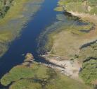 Moremi Game Reserve