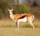 NXAI PAN NATIONAL PARK