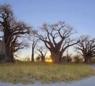 NXAI PAN NATIONAL PARK