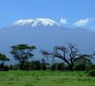 Giorno 2-3 (2 notti): Nairobi - Amboseli National Park