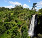 Giorno 4 (1 notte): Samburu - Foresta Aberdare