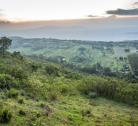 Giorno 5 (1 notte): Foresta Aberdare - La Rift Valley