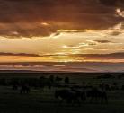 Giorni 6-7 (2 notti): Rift Valley- Riserva Masai Mara