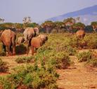 Samburu National Park