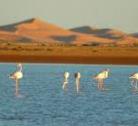 Erg Chebbi – Dayet Srji – Tazzarine – Zagora – Agdz (300km)