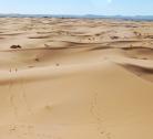 Boumalne Dades – Errachidia – Rissani – Tafilalt Valley - Merzouga desert (200 km)