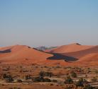 Giorno 8: Sossusvlei & Sesriem Canyon