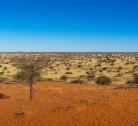 Giorno 9 Sossusvlei-Kalahari Anib Lodge (320km - 4 ore)
