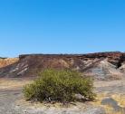 Damaraland