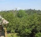 Arba Minch - Yirgalem
