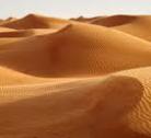 Giorno 06: Masirah/Wahiba Sands