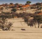 Intu Afrika Kalahari Game Reserve