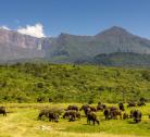 Giorno 1 (1 notte): Arusha