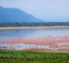 Giorno 2 Arusha – Lake Manyara (1 notte)