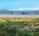Giorno 6 Serengeti National Park - Ngorongoro Conservation (1 notte)