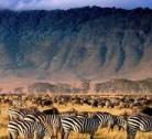 Giorno 8: Ngorongoro - Arusha