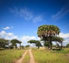 Giorno 8 (1 notte): Selous - Dar es Salaam - Italia
