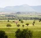 Giorno 4: Moroto - Parco Nazionale Valle del Kidepo