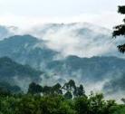 Giorno 12: Il Parco Nazionale Queen Elizabeth - Bwindi