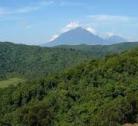 Giorno 9: Parco Nazionale Mgahinga / Foresta di Echuya