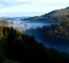 Giorno 12: Il trekking nel Parco Nazionale di Nyungwe
