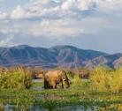 Giorno 2: Lower Zambezi National Park