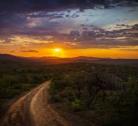 Giorno 7-8-9: South Luangwa National Park