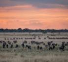 Liuwa plains national Park, camping