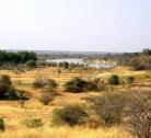 Rundu