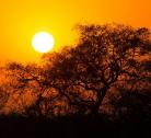 Da Johannesburg al Greater Kruger
