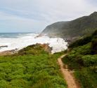 Wild Coast